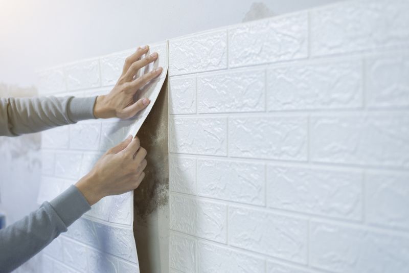 Wallpaper Border Installation in Littleton, CO