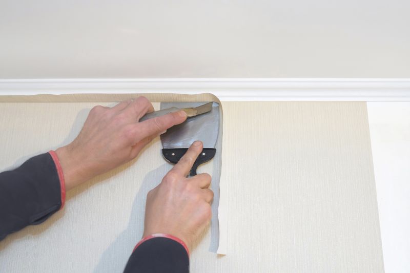 Wallpaper Seam Repair in Denver County, CO